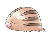 http://pokeliga.com/pictures/sprites/small_art/220.png