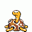 213:Shuckle