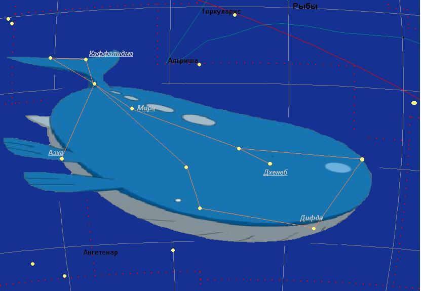 В далеком созвездии кита. Созвездие Тау кита. Звезды Тау кита и Эпсилон эридана. Тау кита звезда.